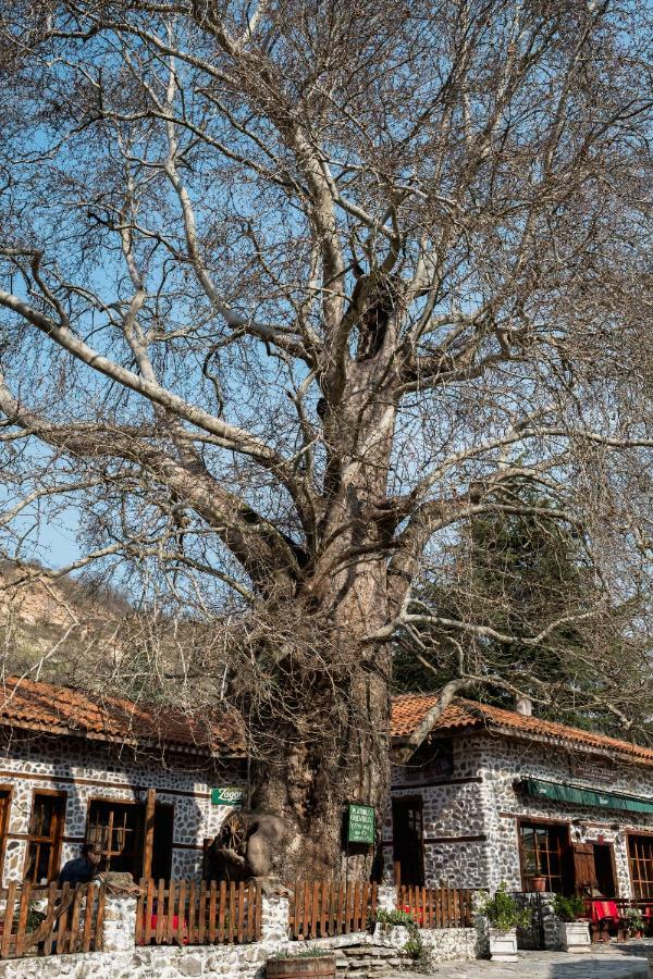 Комплекс Стария Чинар Melnik (Blagoevgrad) Exterior foto